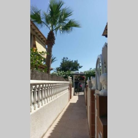 La Casa De La Palmera Apartment Torrevieja Exterior photo