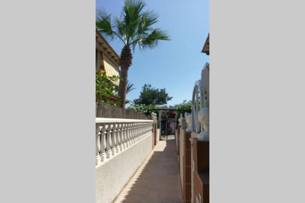 La Casa De La Palmera Apartment Torrevieja Exterior photo